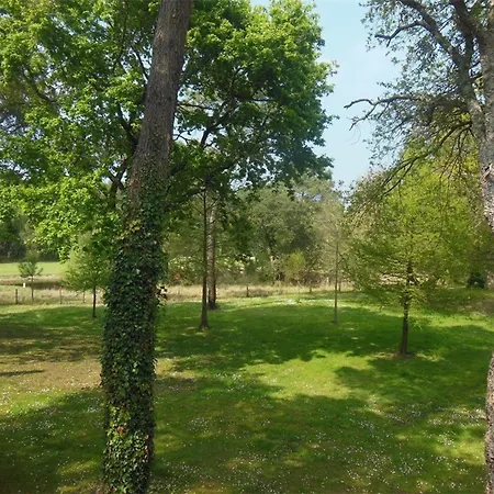 Maisonnette Avec Parking, Animaux Ok - 4/6 Pers. - Fr-1-878-53 * Moliets-et-Maa